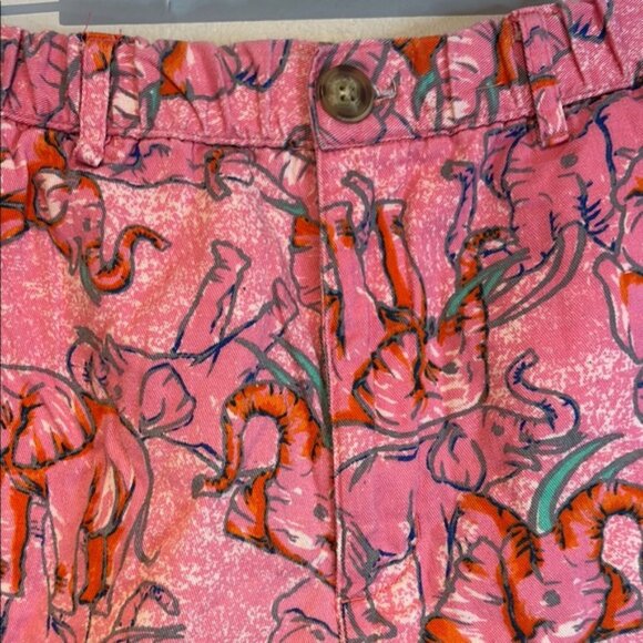 Chubbies men’s Pink elephant Print Shorts size large - Picture 4 of 12